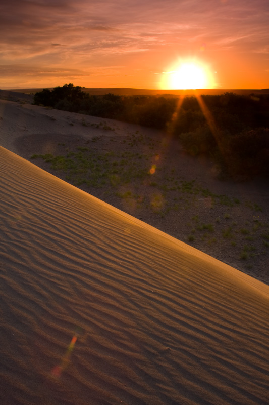 Sunrise And Dune